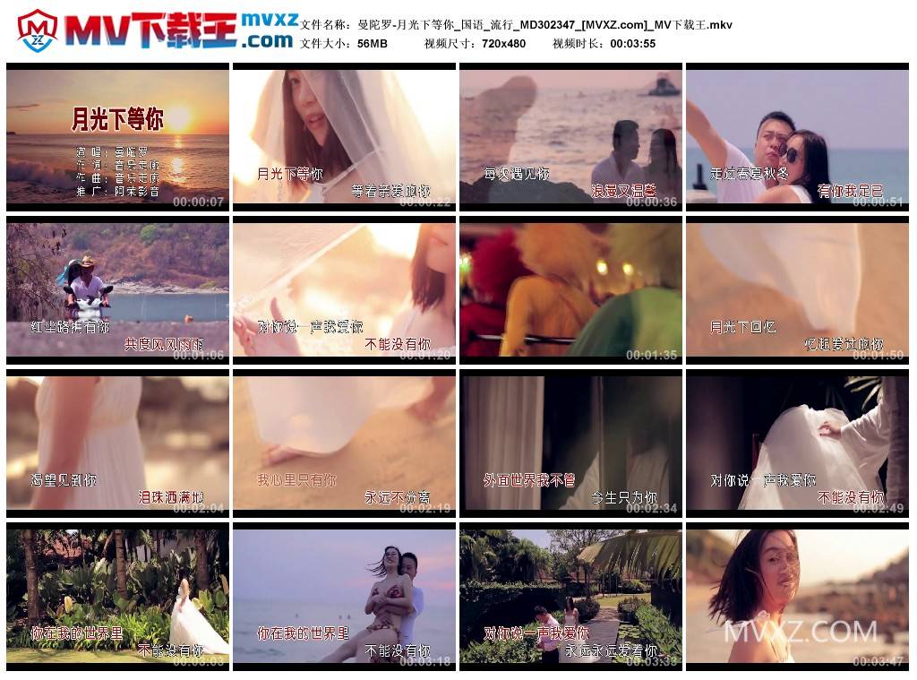曼陀罗-月光下等你_国语_流行_MD302347